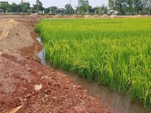 Người dân “lên thổ cư” cho đất lúa bị trả hồ sơ, Bộ NN&MT trả lời