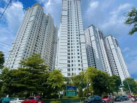 Chuyên gia dự đoán giá chung cư 2026