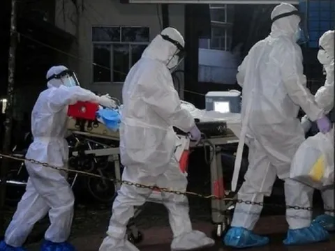 Virus Nipah nguy hiểm: Mối đe dọa âm ỉ khiến nhiều nước trên thế giới luôn trong trạng thái cảnh giác