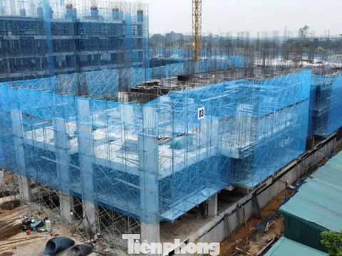 Hướng dẫn mới nhất xác nhận thu nhập mua nhà ở xã hội cho lao động tự do