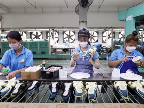 Hơn 54.000 doanh nghiệp gia nhập và tái gia nhập thị trường trong tháng 1/2026