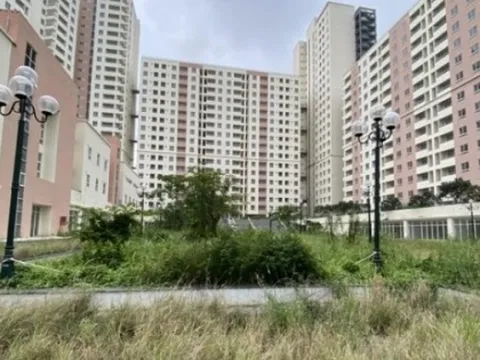 7 hành vi vi phạm về đất đai có thể bị khởi tố, người dân cần lưu ý