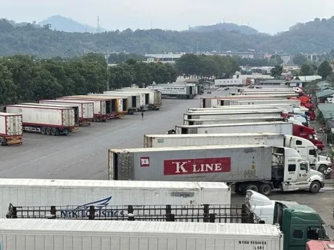 Bộ Y tế chính thức đề xuất tạm dừng Nghị định 46 và Nghị quyết 66.13/2026 của Chính phủ