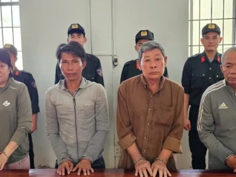 Bắt nhóm 'phù phép' đất rừng lừa đảo gần 20 tỷ đồng