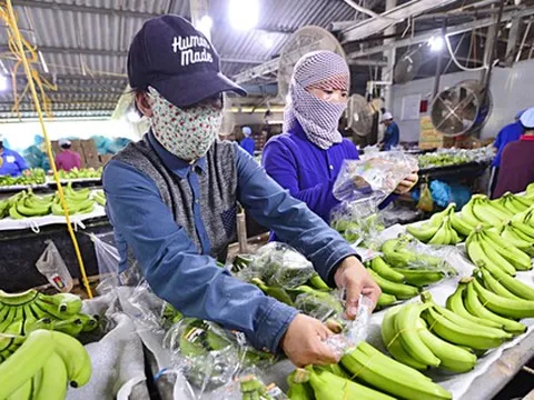 Tạm dừng Nghị định 46, doanh nghiệp vẫn chưa hết lo