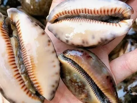 Đặc sản nghe tên "ngượng đỏ mặt" xưa không ai ăn nay 150.000 đồng