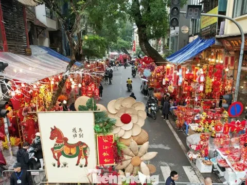 Chuyên gia giải mã 'sức hút trăm năm' của Chợ hoa Hàng Lược