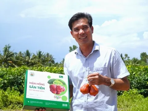 Đắt hơn sầu riêng, loại quả 230.000đ/kg giúp anh nông dân miền Tây lãi 2 tỷ/ha bất chấp nước mặn