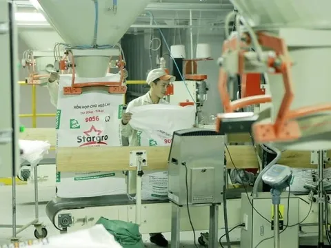 Doanh nghiệp sản xuất trước áp lực xăng dầu, tỷ giá bật tăng