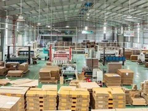 Công ty Công nghệ Bao bì Giấy Tiến Phát: Khẳng Định Vị Thế Dẫn Đầu Ngành In Ấn Carton Tại Việt Nam