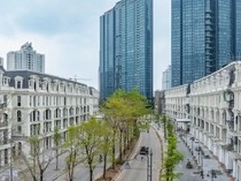 Sau kiểm toán, Sunshine báo lợi nhuận đột phá gần 11.300 tỷ trong 2025, mục tiêu doanh thu 40.000 tỷ năm 2026