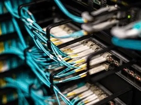 Hơn 50% doanh nghiệp Việt Nam thiếu hụt chuyên gia an ninh mạng