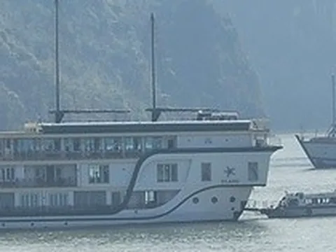 Sử dụng Starlink trái phép, chủ tàu du lịch ở Cát Bà bị phạt 70 triệu đồng