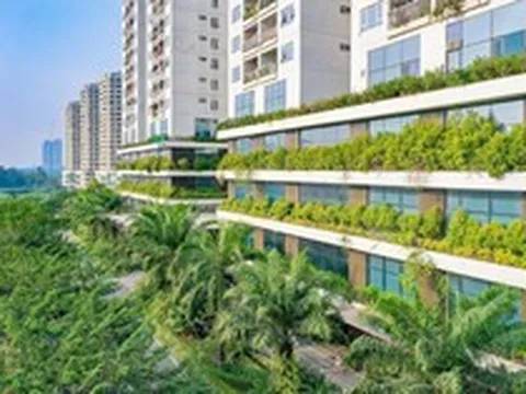 Capital House và hành trình hơn 20 năm “ươm mầm” sống xanh cho đô thị Việt