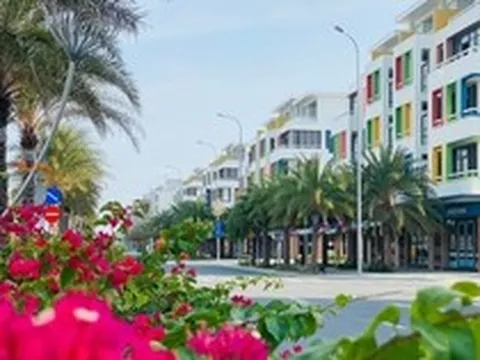 Các 'huyền thoại' ngành sản xuất của Việt Nam như Hòa Phát, Tân Á Đại Thành, Bitis, KIDO đang làm bất động sản ra sao?