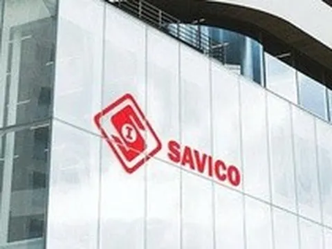 Vì sao Savico không đáp ứng điều kiện công ty đại chúng?