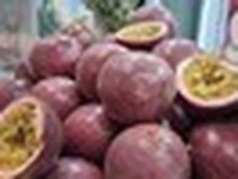 Không phải sầu riêng, đây mới là loại quả từ Việt Nam mà châu Âu cực mê