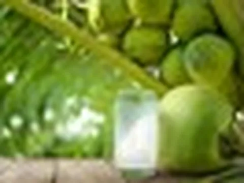 3 lời khuyên cho các gia đình hay uống nước dừa