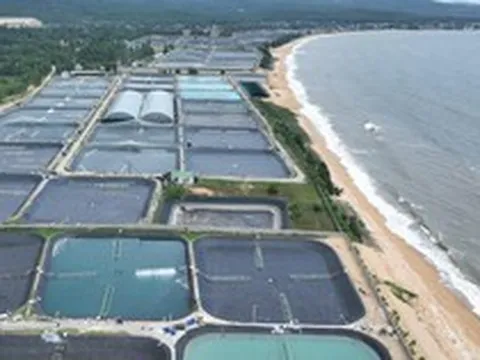 Sở hữu đường bờ biển dài 82km nhưng chưa được kích hoạt hết tiềm năng, loạt 'ông lớn' đề xuất đầu tư cảng biển tại một tỉnh miền Trung, cạnh tranh cùng Nghi Sơn, Vũng Áng