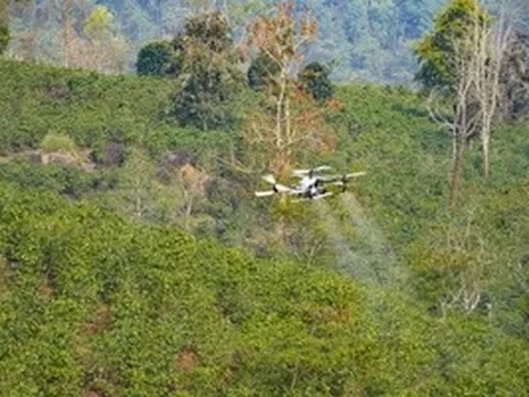 UAV mở hướng phát triển kinh tế vùng núi