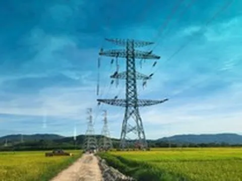Những doanh nghiệp tham gia siêu dự án 22.300 tỷ Đường dây 500kV mạch 3