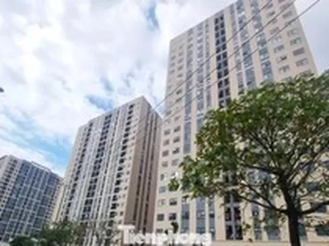 Đà Nẵng phê duyệt 113 vị trí xây nhà ở xã hội, khu nào lớn nhất?