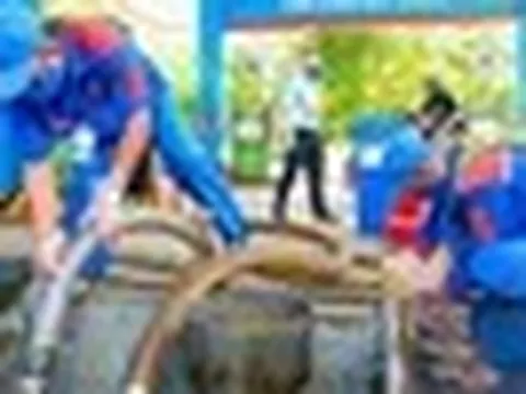 Xăng E10 sắp thay thế RON 95 trên toàn quốc, được kiểm soát chất lượng ra sao?