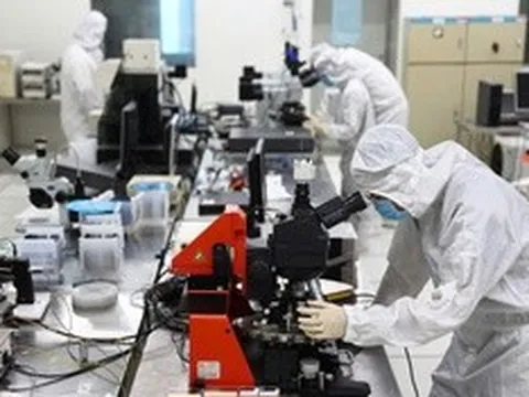 Đến năm 2030 hình thành khoảng 30 nhóm nghiên cứu mạnh về khoa học tự nhiên