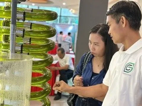 Chợ công nghệ xanh đang diễn ra tại TPHCM có gì đặc biệt?