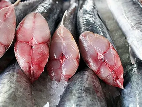 2 loại cá "dễ ngậm" thủy ngân, cái số một cực kỳ quen thuộc