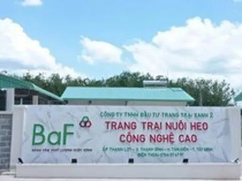 Baf Việt Nam chốt quyền nhận cổ phiếu thưởng và cổ tức tổng tỷ lệ 20%