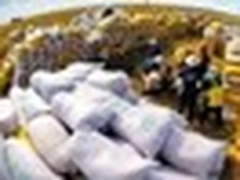 Việt Nam đón tin vui từ mặt hàng xuất khẩu chủ lực: Sản phẩm cao cấp ngày càng được ưa chuộng