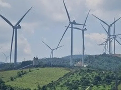 Thanh tra chỉ ra hàng loạt sai sót tại 14 dự án điện gió ở Quảng Trị