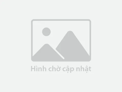 Viettel Post tăng tốc mở rộng hoạt động tại Đông Nam Á
