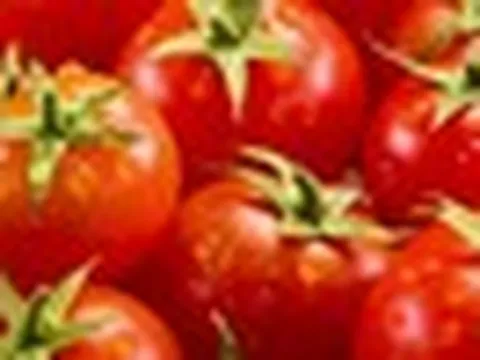 Phát minh của Trung Quốc gây sốc ngành thực phẩm: Tạo ra giống cà chua biến đổi gen có mùi của bỏng ngô, không làm ảnh hưởng đến năng suất