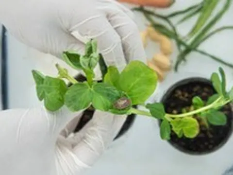 Đổi mới sáng tạo trong bảo vệ thực vật ngày càng đòi hỏi các khoản đầu tư dài hạn và quy mô lớn