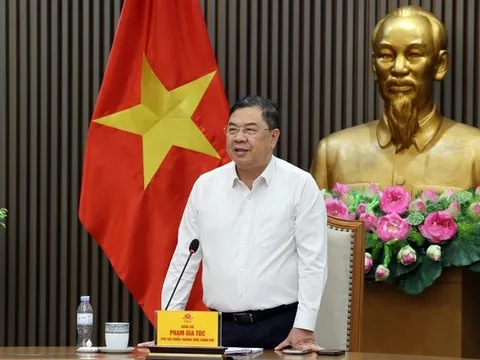 Phó Thủ tướng: Không để lợi dụng nhập khẩu ô tô diện quà tặng nhằm trục lợi chính sách