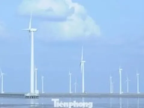 Gần 22.000 tỷ đồng đầu tư 2 dự án điện gió ở Cần Thơ