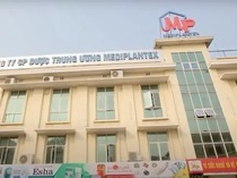 Tổng giám đốc một công ty dược đơn phương chấm dứt Hợp đồng lao động